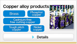 Copper alloy products